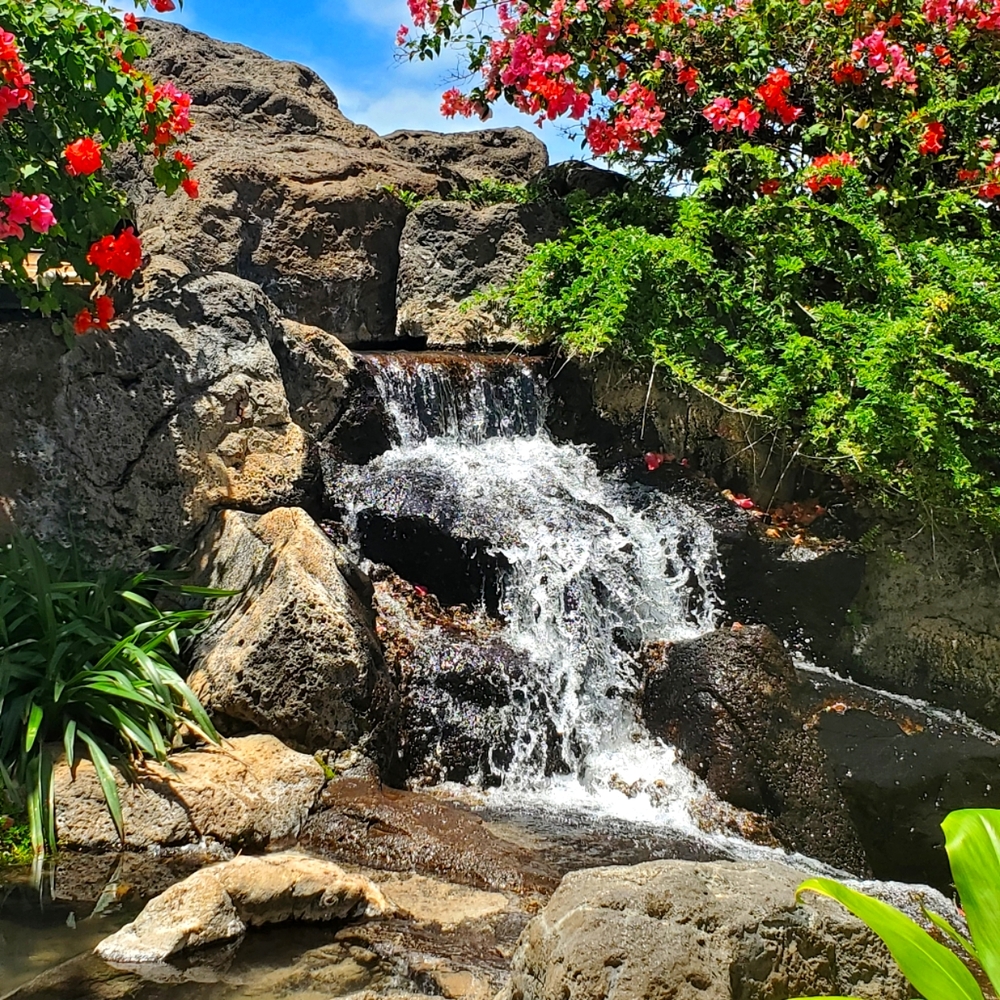 Meet your Posher, Debra